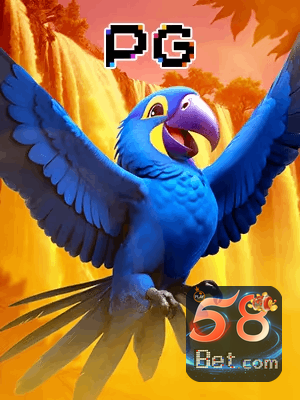 58BET bônus — cashback 15 por cento e níveis VIP