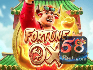 58BET login — painel de entrada no app oficial